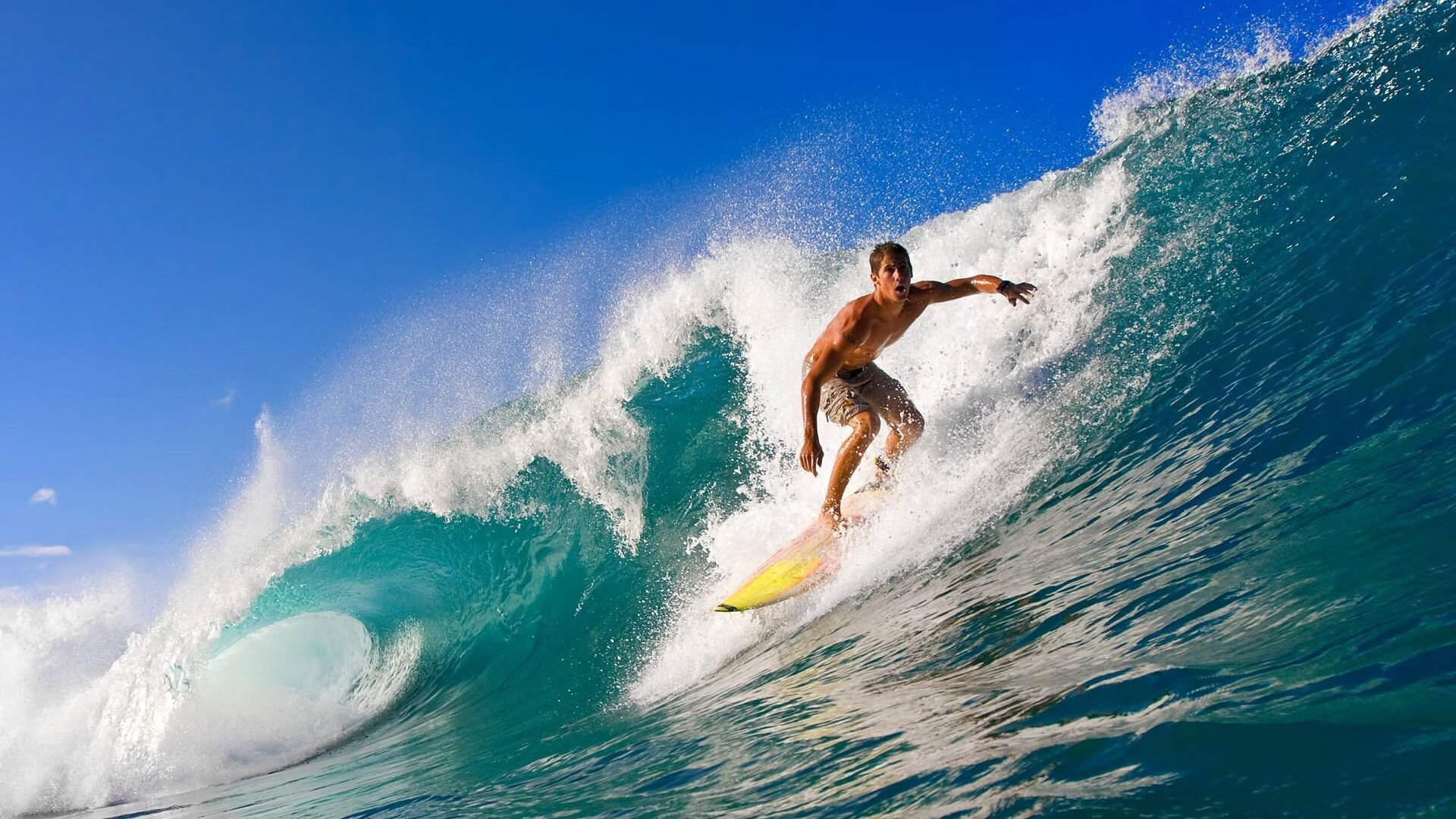 公牛队士气高昂,期待突破历史,公牛队集锦